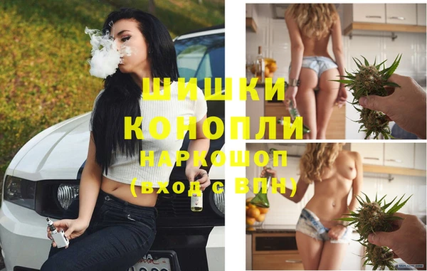 молекула духа Аркадак