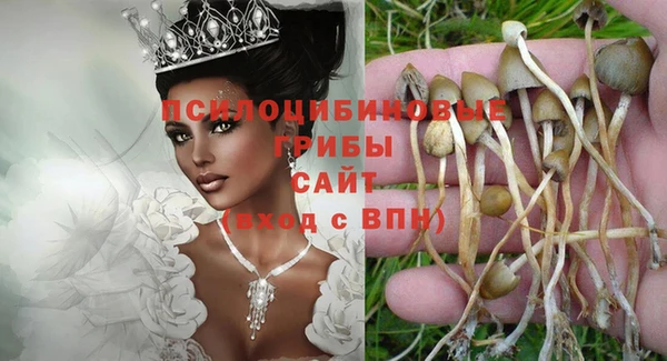 молекула духа Аркадак