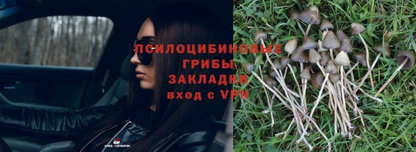 дурь Арсеньев