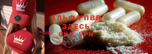 молекула духа Аркадак
