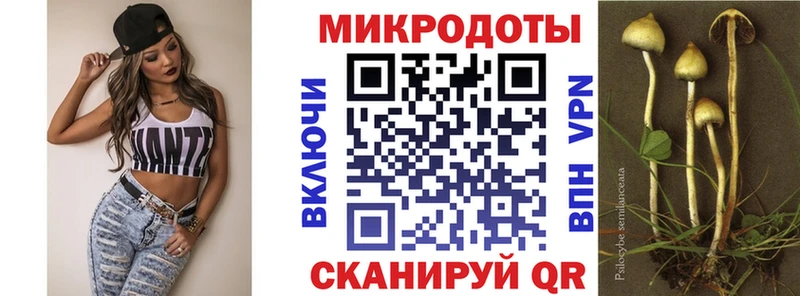 купить   Наволоки  Псилоцибиновые грибы мицелий 